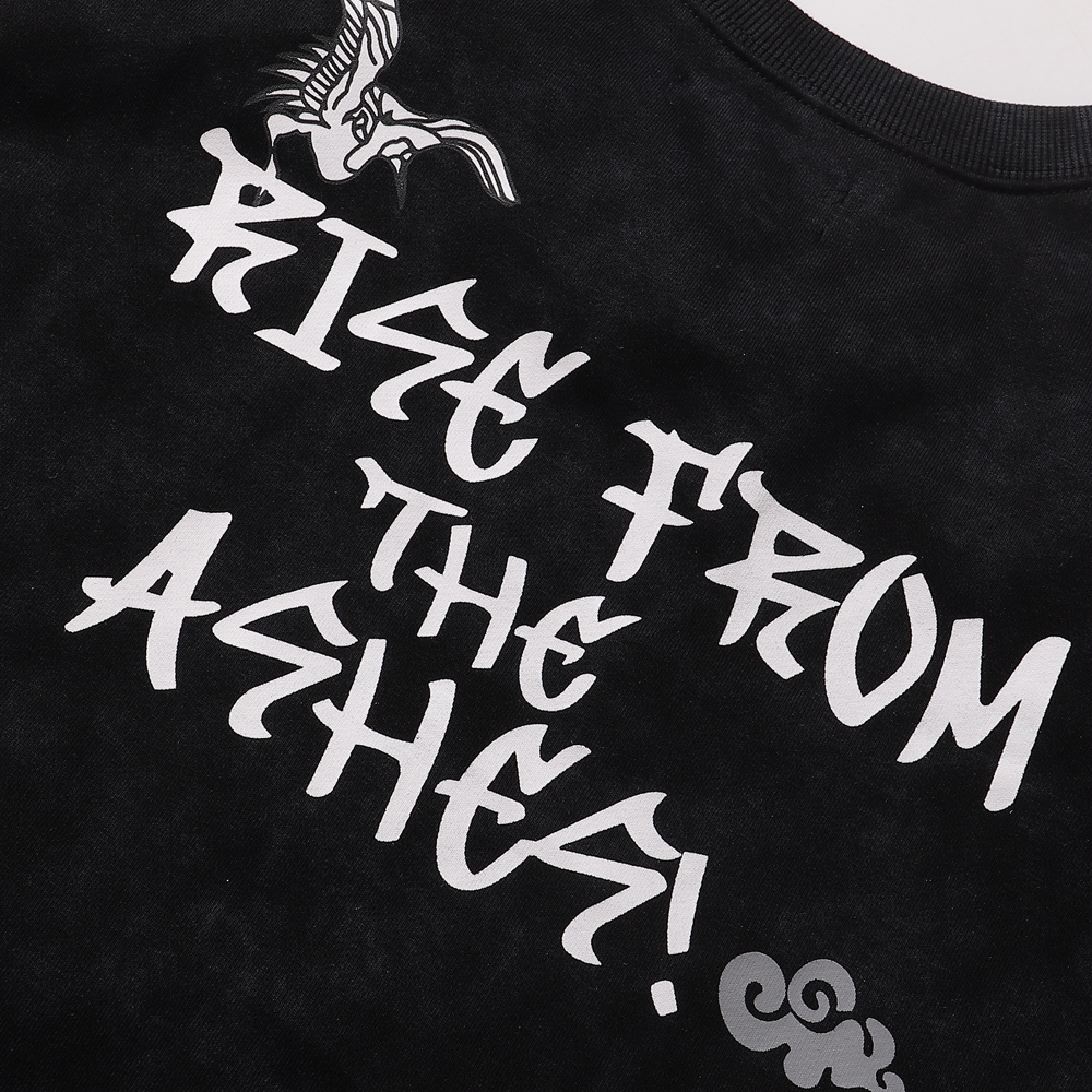 images/2005-a-kleep-rise-from-the-ashes-graphic-t-shirt/20.jpg